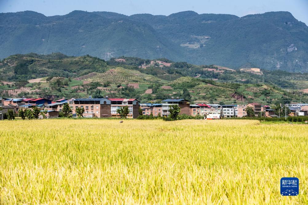 金沙登陆网址